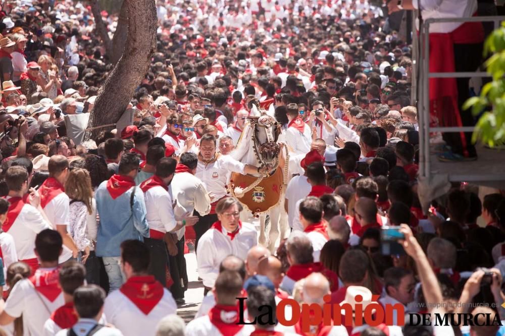 Carrera de los Caballos del Vino