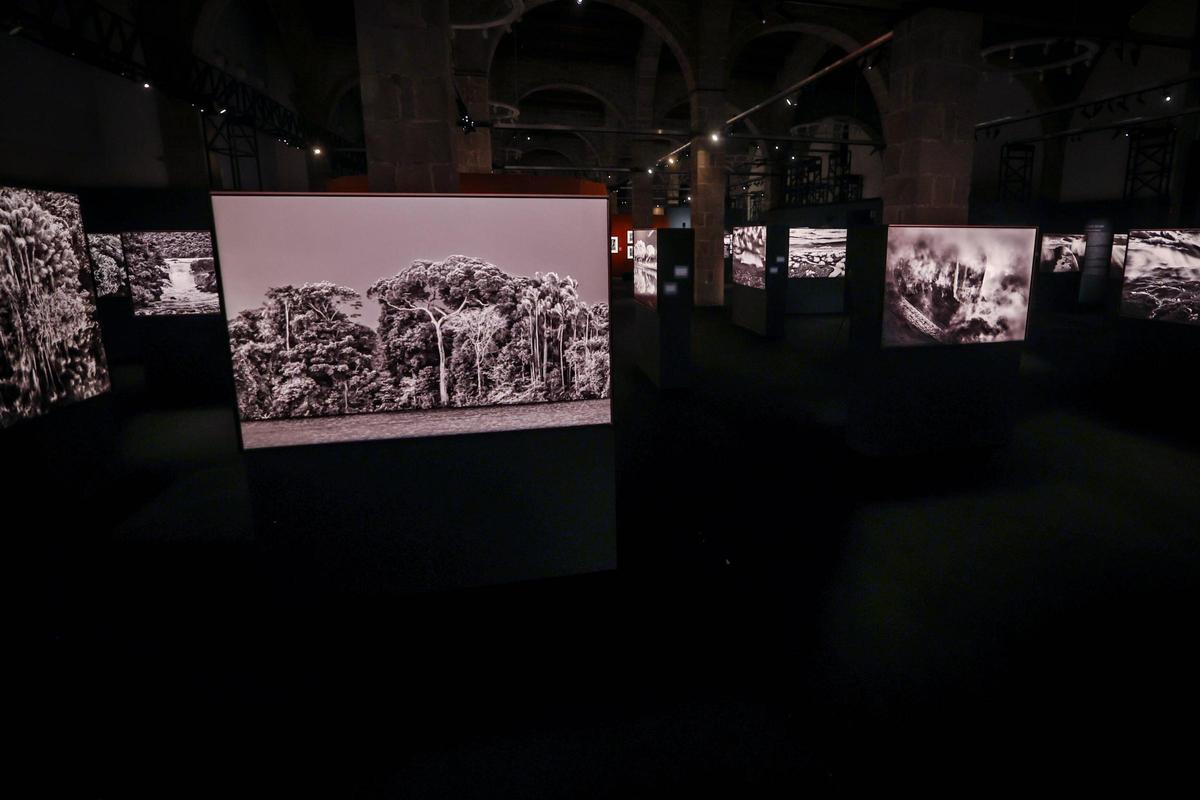 Exposición fotográfica Amazônia, de Sebastião Salgado, en Barcelona