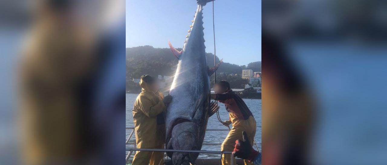 Los marineros del barco bateeiro izando el atún rojo de 300 kilos. 25 noviembre 2022.