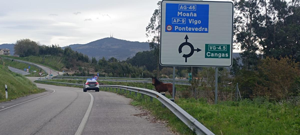 Una patrulla de la Guardia Civil controla otro de los caballos en el enlace de la Autovía en Cangas.