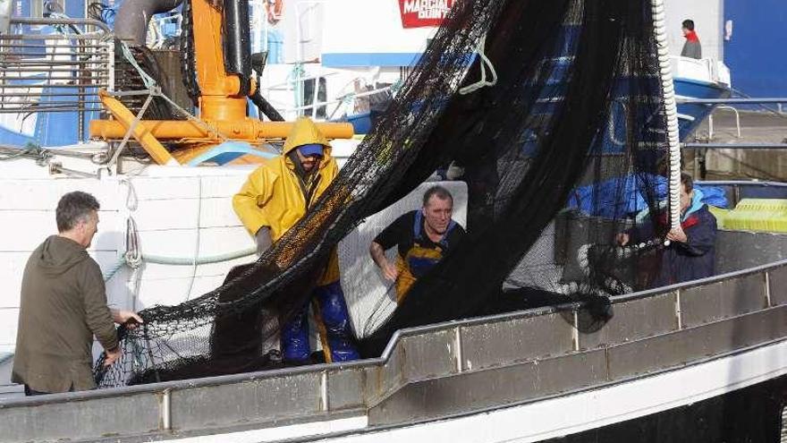 Marineros de cerco preparando el barco para salir. // Ricardo Grobas