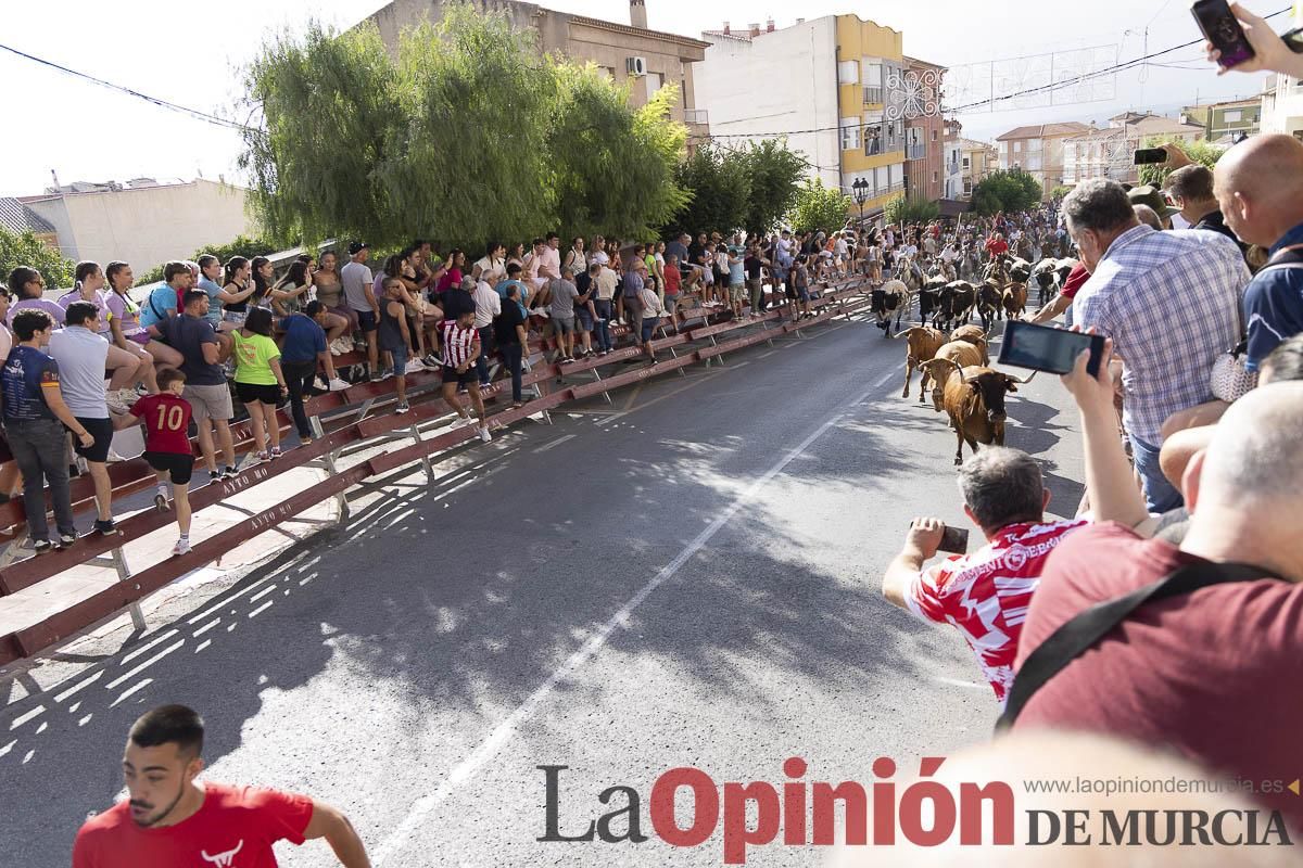 Primer encierro de las Fiestas de Moratalla