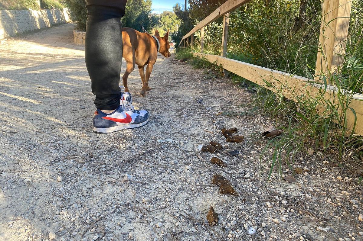 Entornos como la ladera del río Vinalopó es donde más multa la Policía Local por deposiciones de perros