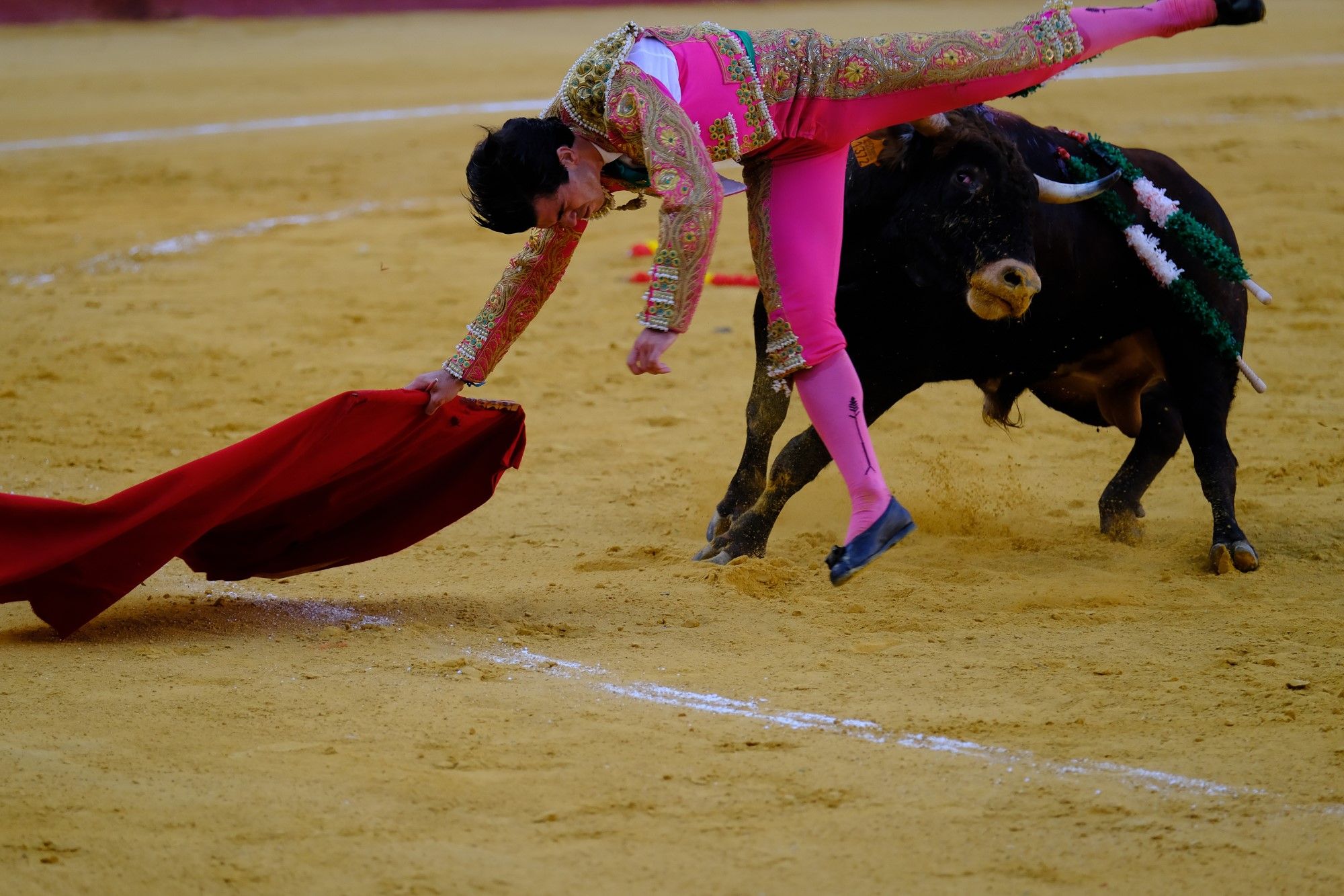 Toros en la Feria | Novena corrida de abono en La Malagueta: 3ª Semifinal de las Escuelas Taurinas