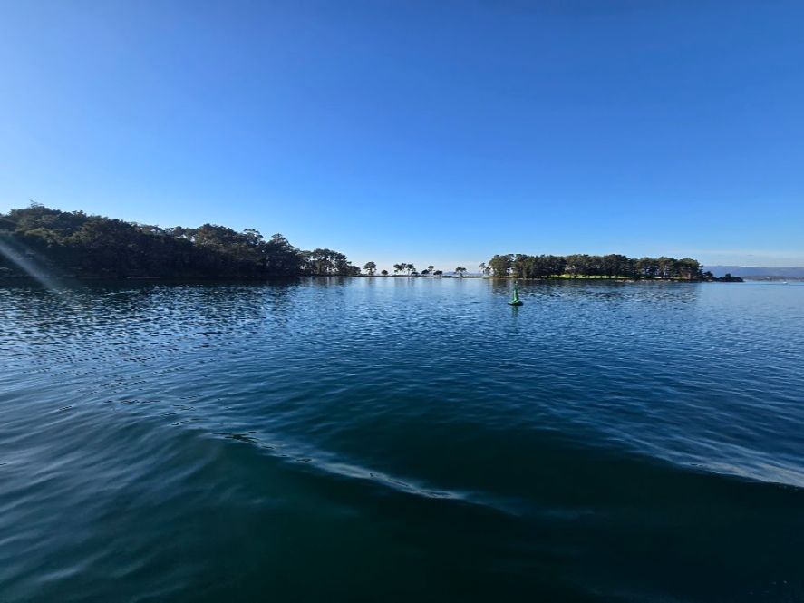 Así se despidió el año en el catamarán restaurante Fly Delfín, de Cruceros do Ulla Turimares.