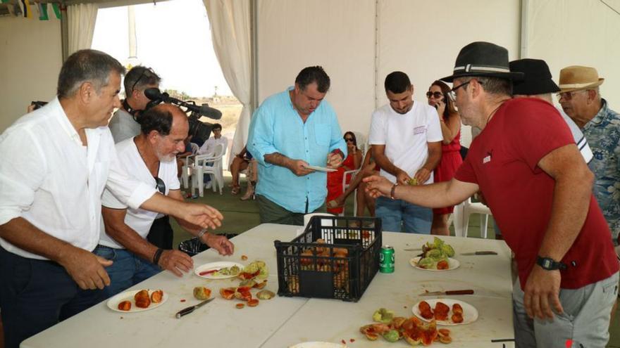 Imagen de algunos de los participantes en la Olimpiada de Pelada de Tunos. | | TAMARICHE