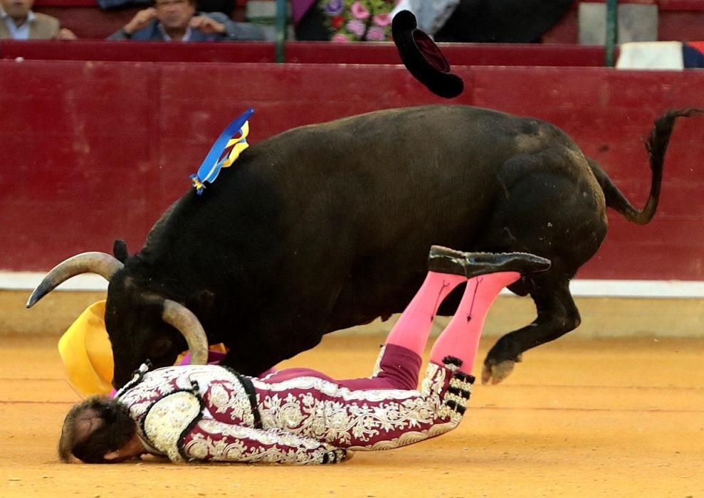 El banderillero Mariano de la Viña sufre una grave cornada en Zaragoza.