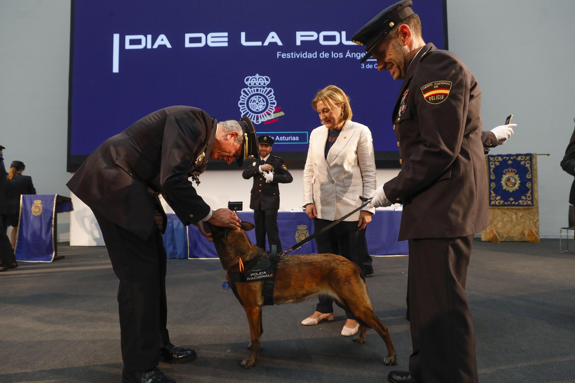 En imágenes: así fue la celebración de los Ángeles Custodios en Oviedo