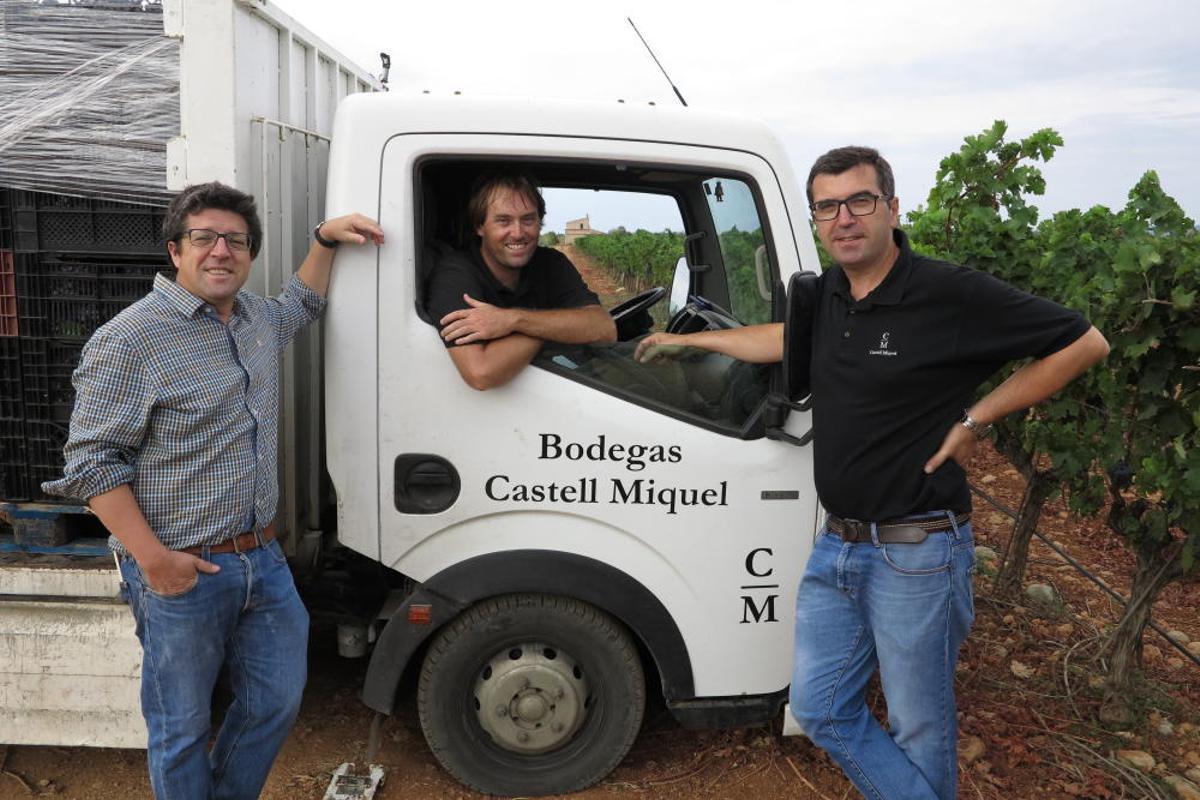 Vendimia en Mallorca en la finca Castell Miquel
