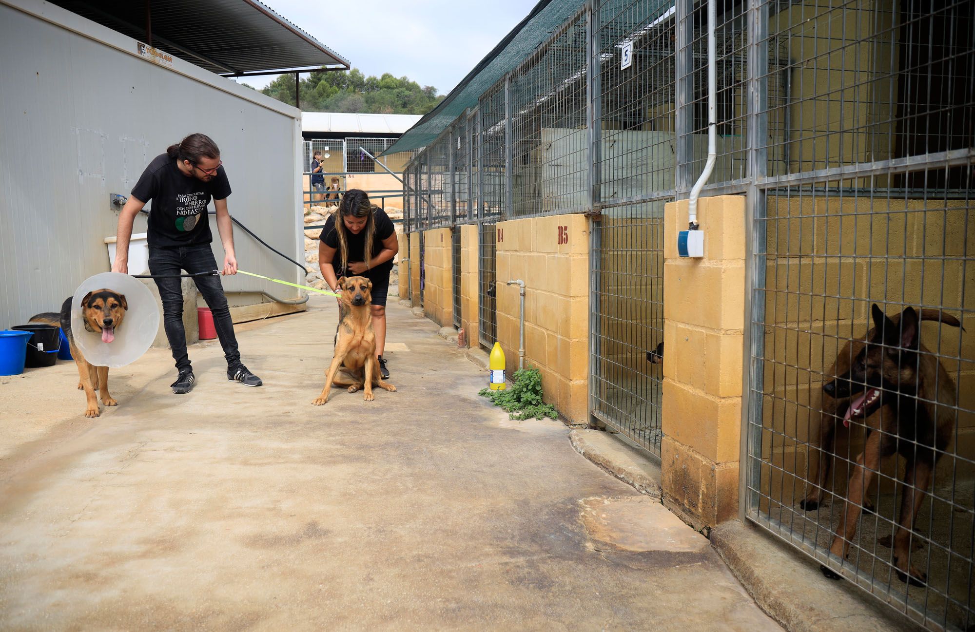 Estado de la Protectora de Animales de Málaga en julio de 2022