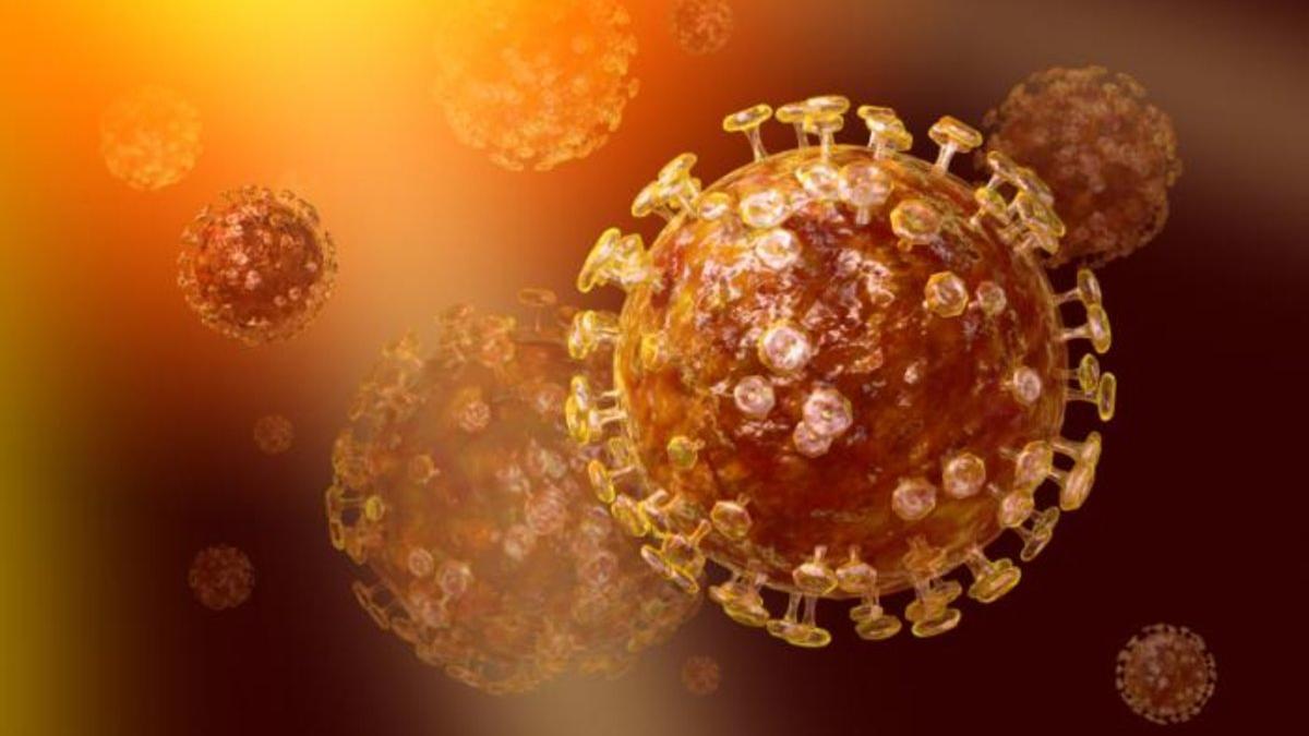 La OMS busca disipar todos los rumores en torno al coronavirus