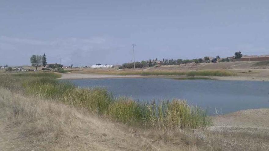 Vista de la Laguna de Manganeses de la Lampreana, con muy poca cantidad de agua.