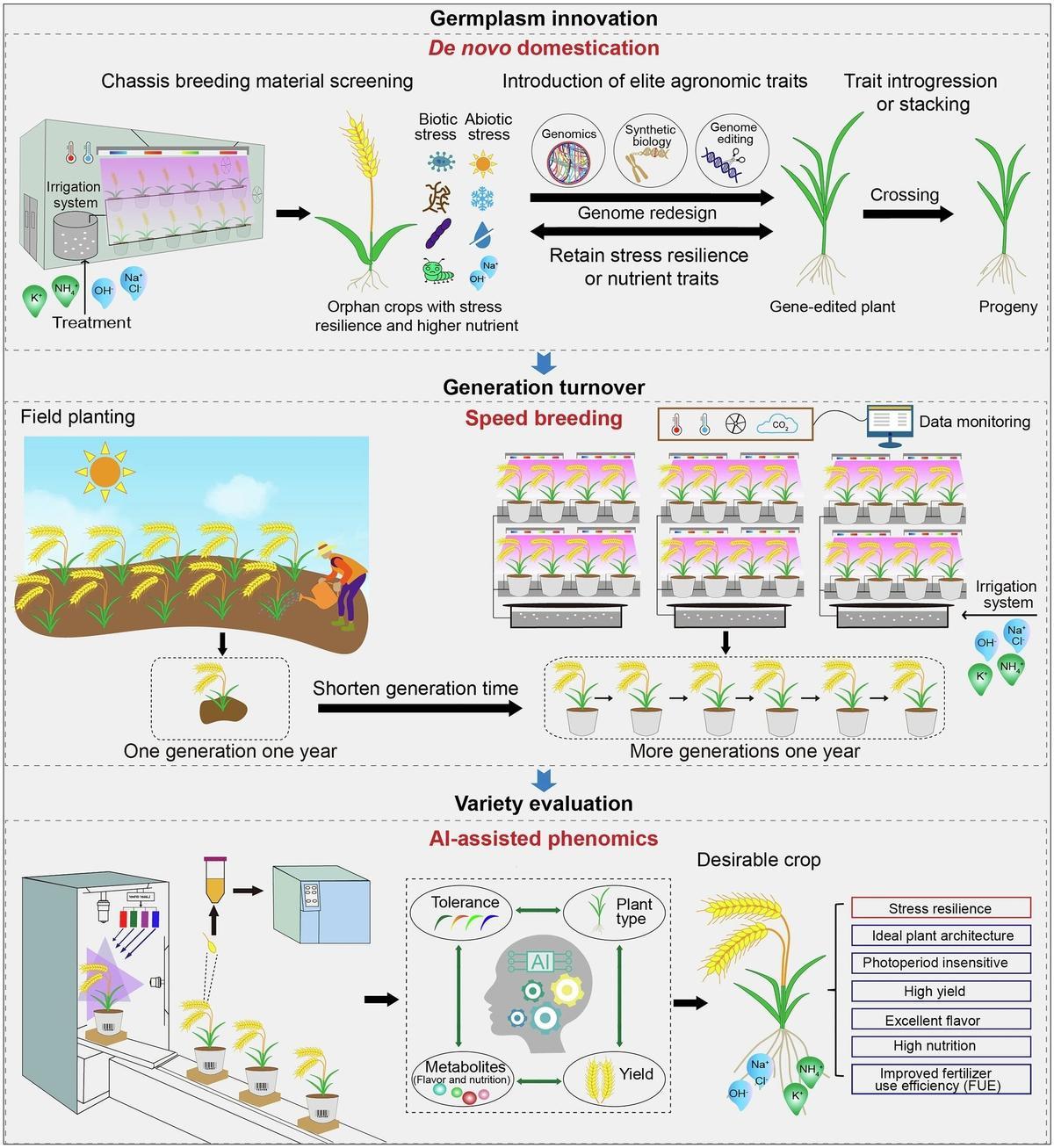 Esquema de la estrategia de reproducción de DSAP.