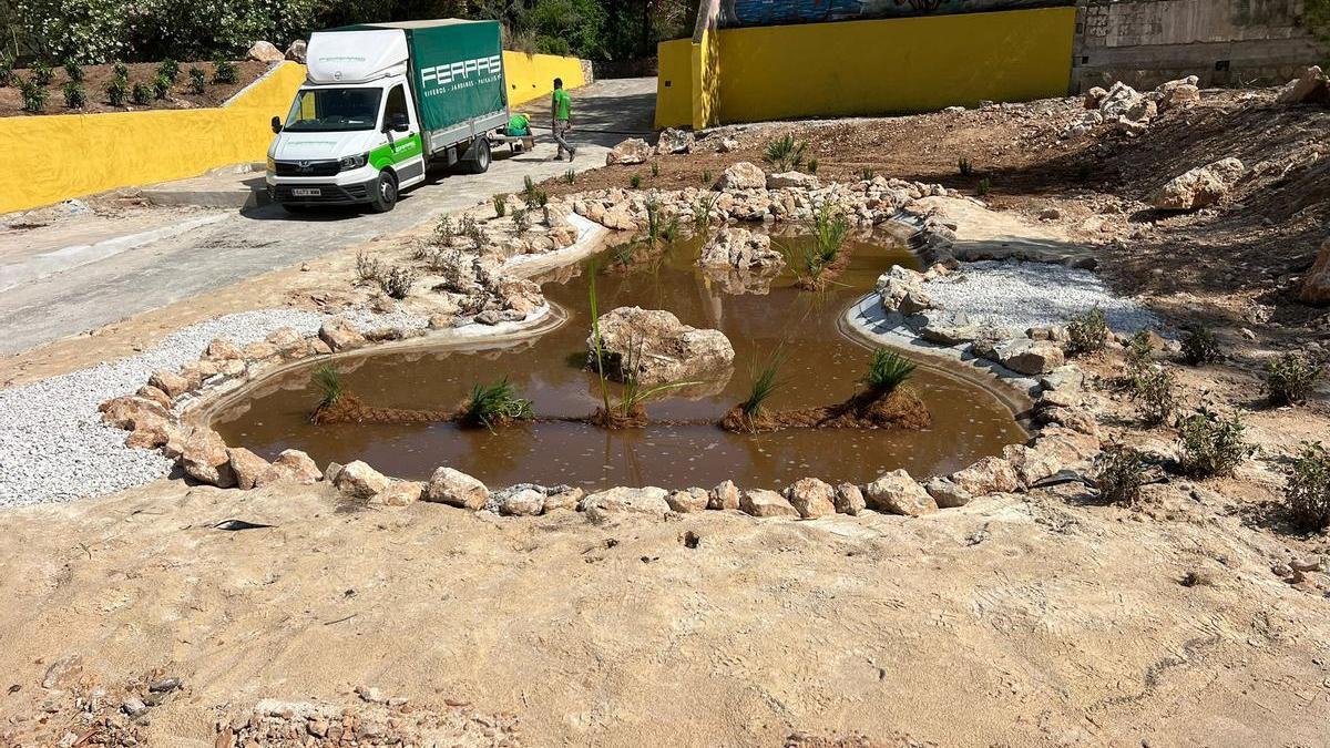 La piscina se ha transformado en un espacio para anfibios.