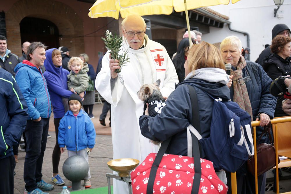 Fiesta de Sant Antoni en la ermita de vera