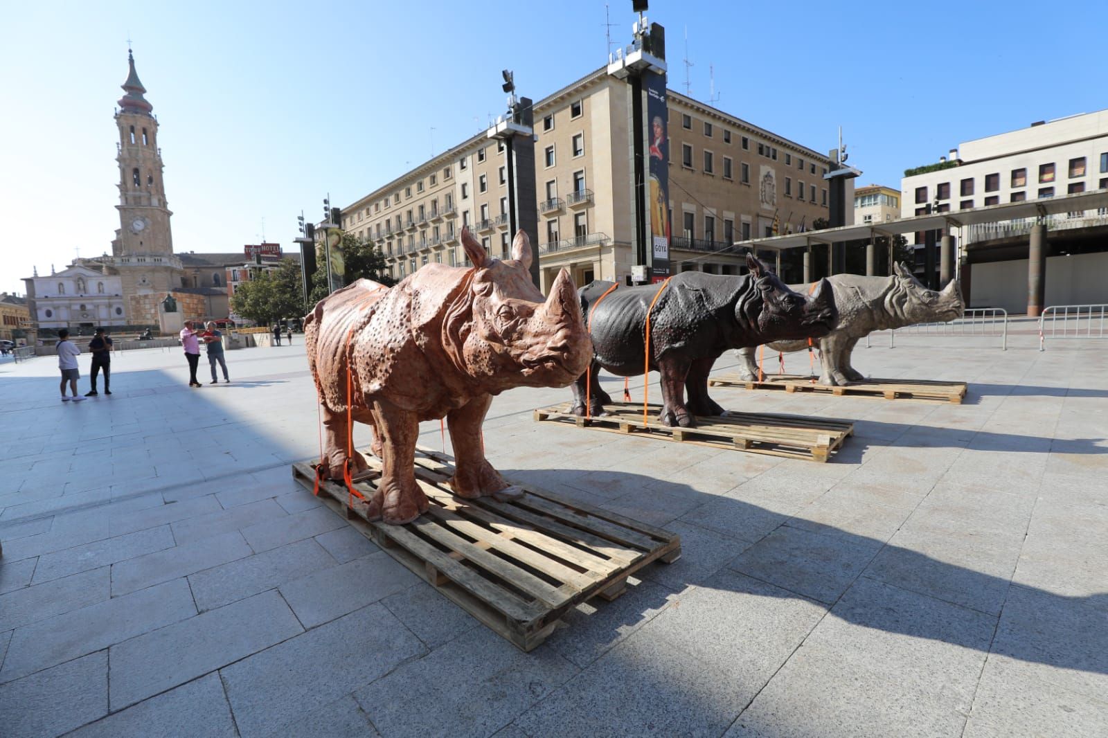 20 rinocerontes ocupan la plaza del Pilar de Zaragoza