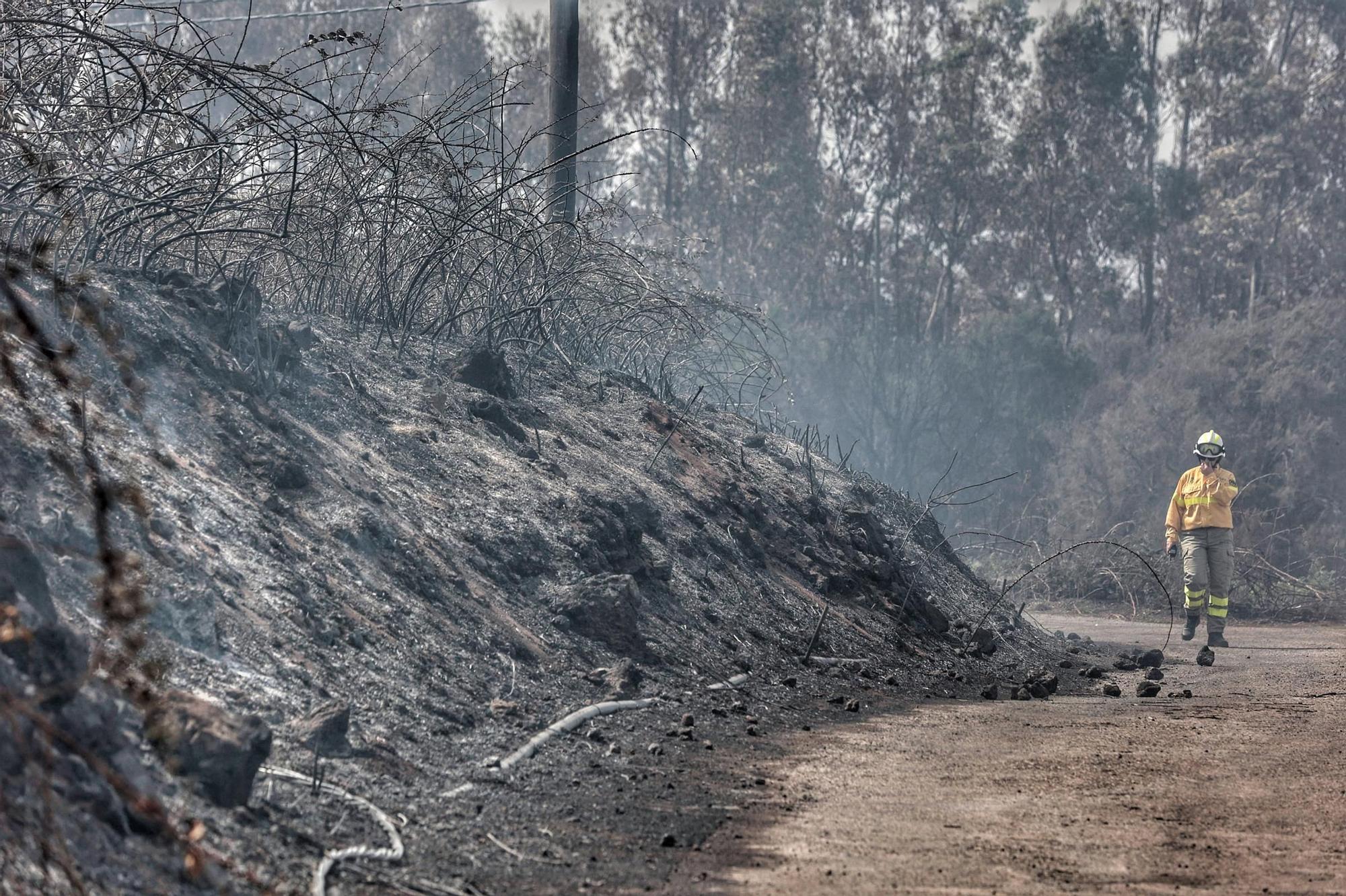 Realojadas las familias afectadas por el incendio en El Sauzal