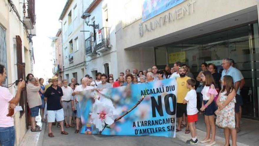 La Marina Alta se rebela contra la destrucción de sus almendros