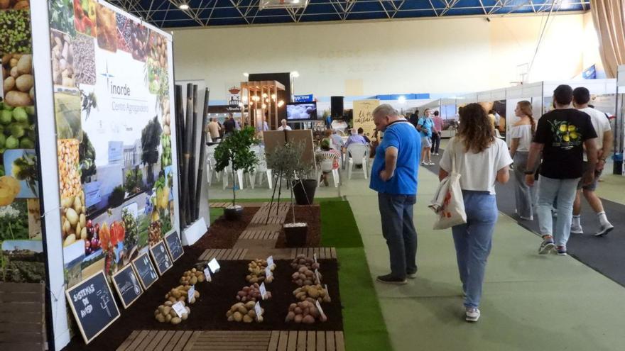 El relevo generacional en la comarca de A Limia impulsa la producción de nuevos cultivos