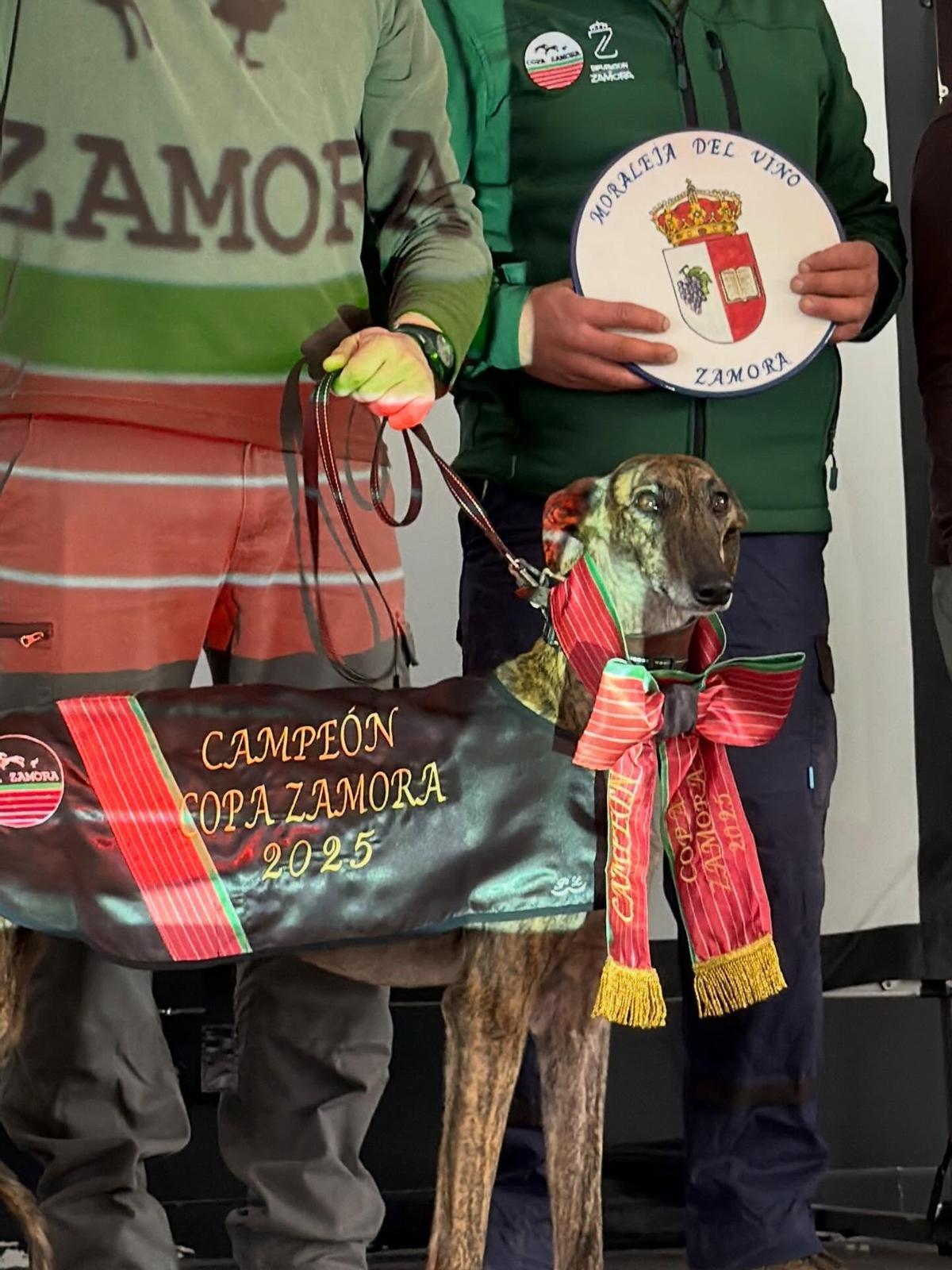 Bruja de Pérez Valentín, campeona de la Copa Zamora 2025