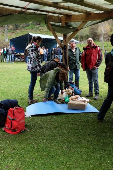 Romería en Piedracea, fiestas de la Flor de Lena