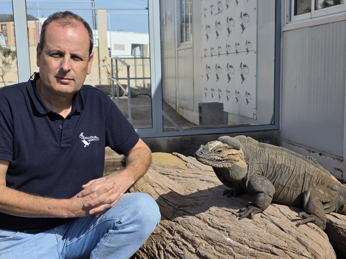 Jaime de Urioste, presidente de la Fundación Neotrópico, con una iguana rinoceronte, especie originaria de Haití y República Dominicana.