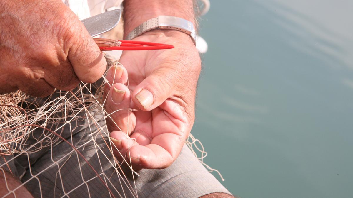 El Govern fija las nuevas fechas y cuotas para la pesca de artes de arrastre tradicional en Mallorca