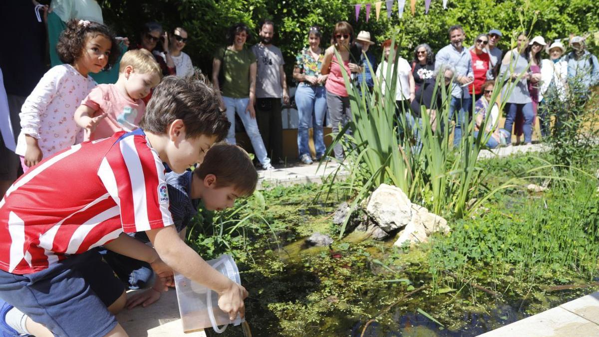 Acto de celebración del primer aniversario del estanque naturalizado en Orive.
