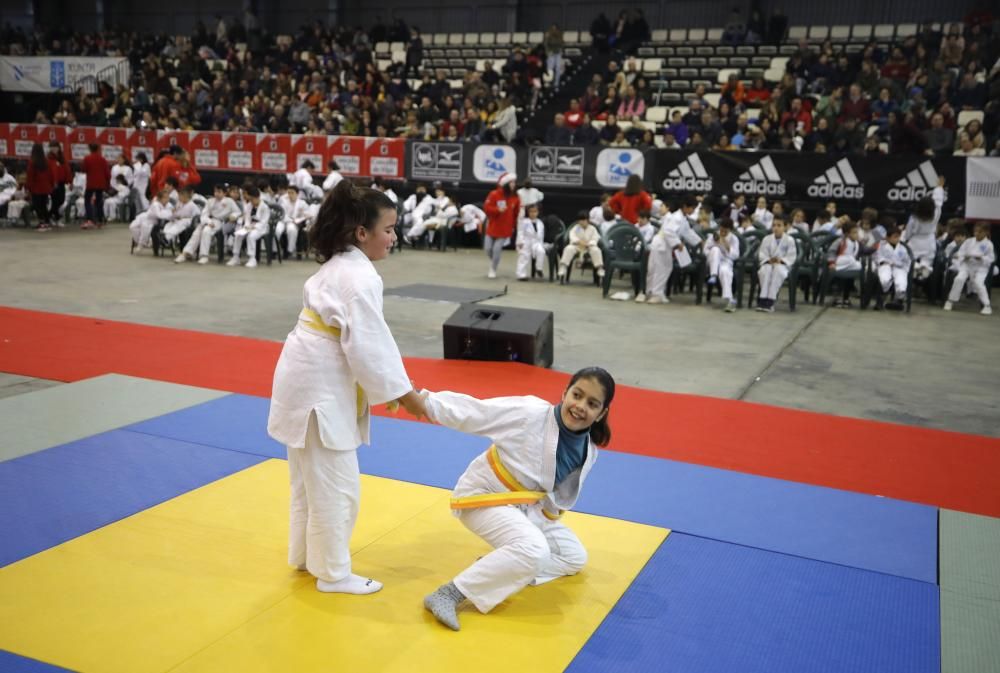 26ª edición de la Fiesta del Judo Infantil.