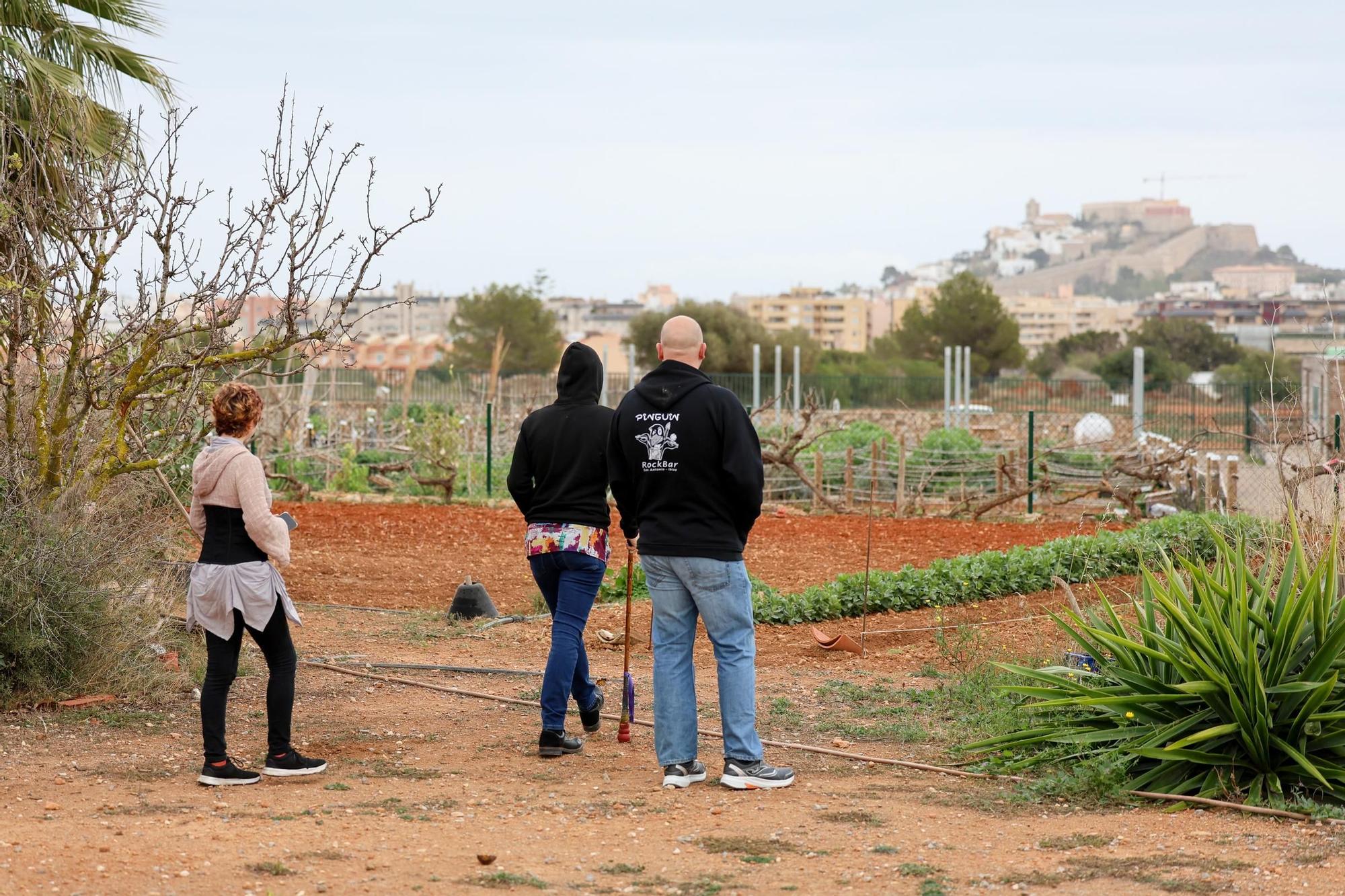 La asociación de Asperger celebra su convivencia en Ibiza