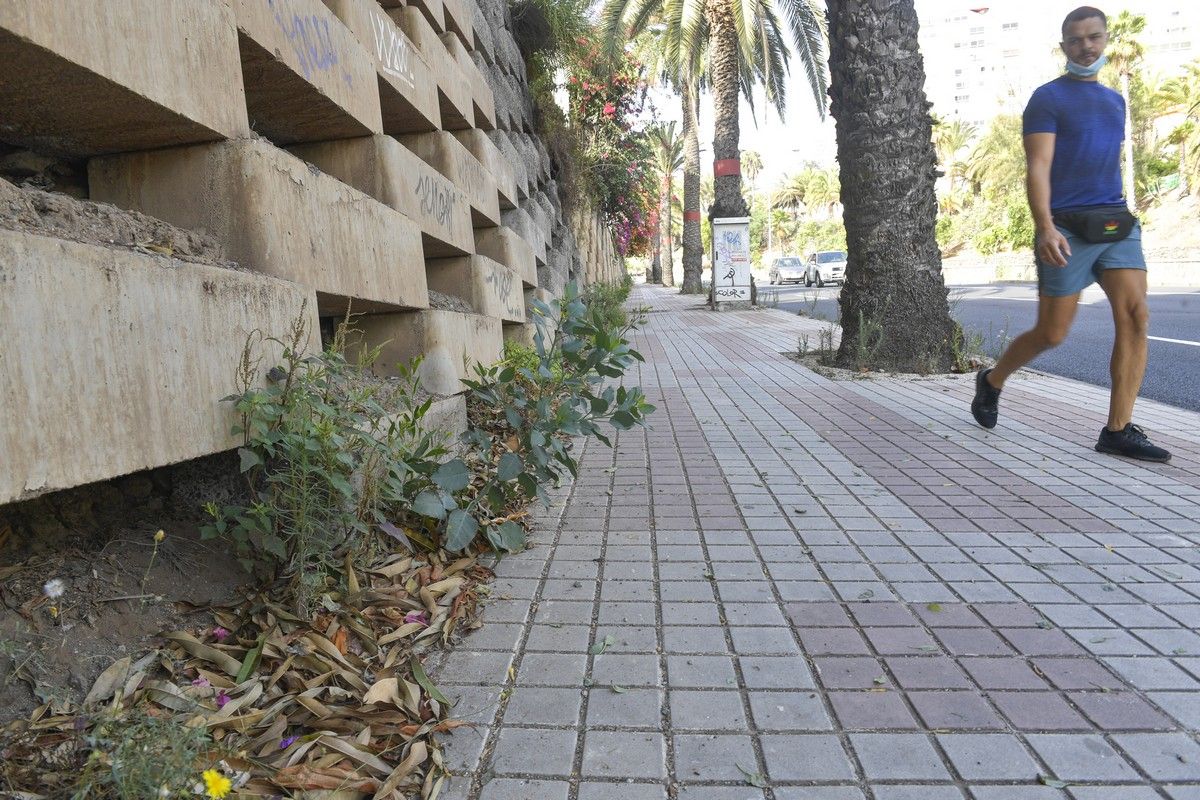 Hierbas en aceras de las calles de Escaleritas