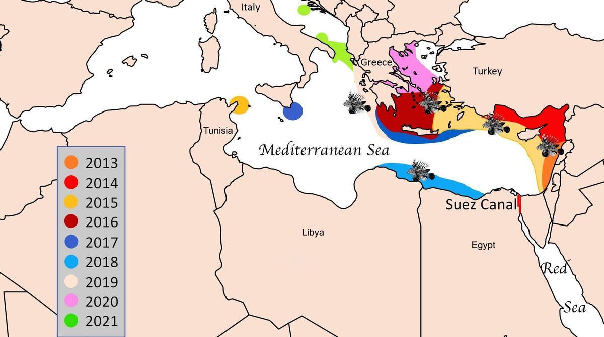 Expansión del pez león por el Mediterráneo.