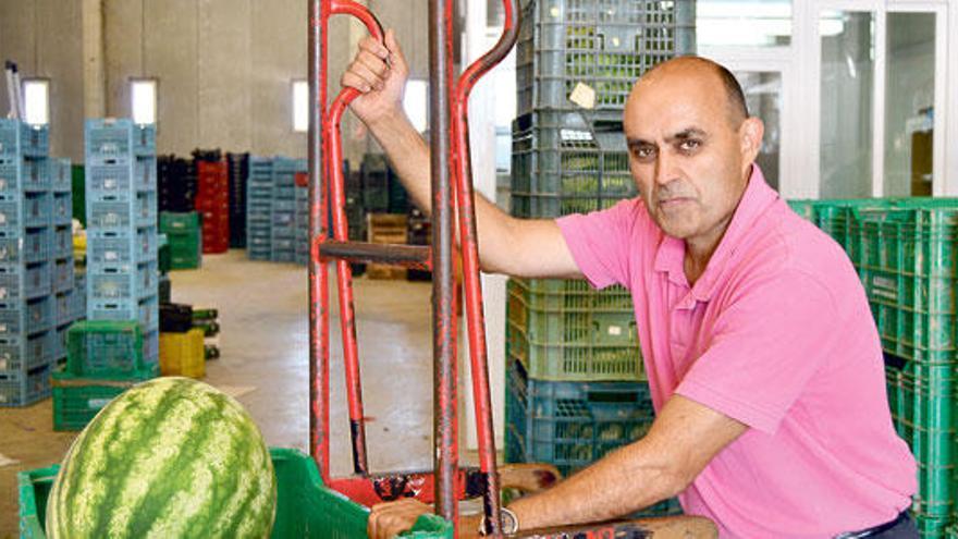 Antoni Serra acarreando sandías en la cooperativa de Muro con una carretilla.