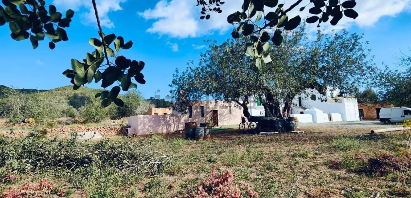 Una finca rústica para restaurar como un agroturismo por nueve millones de euros en Ibiza