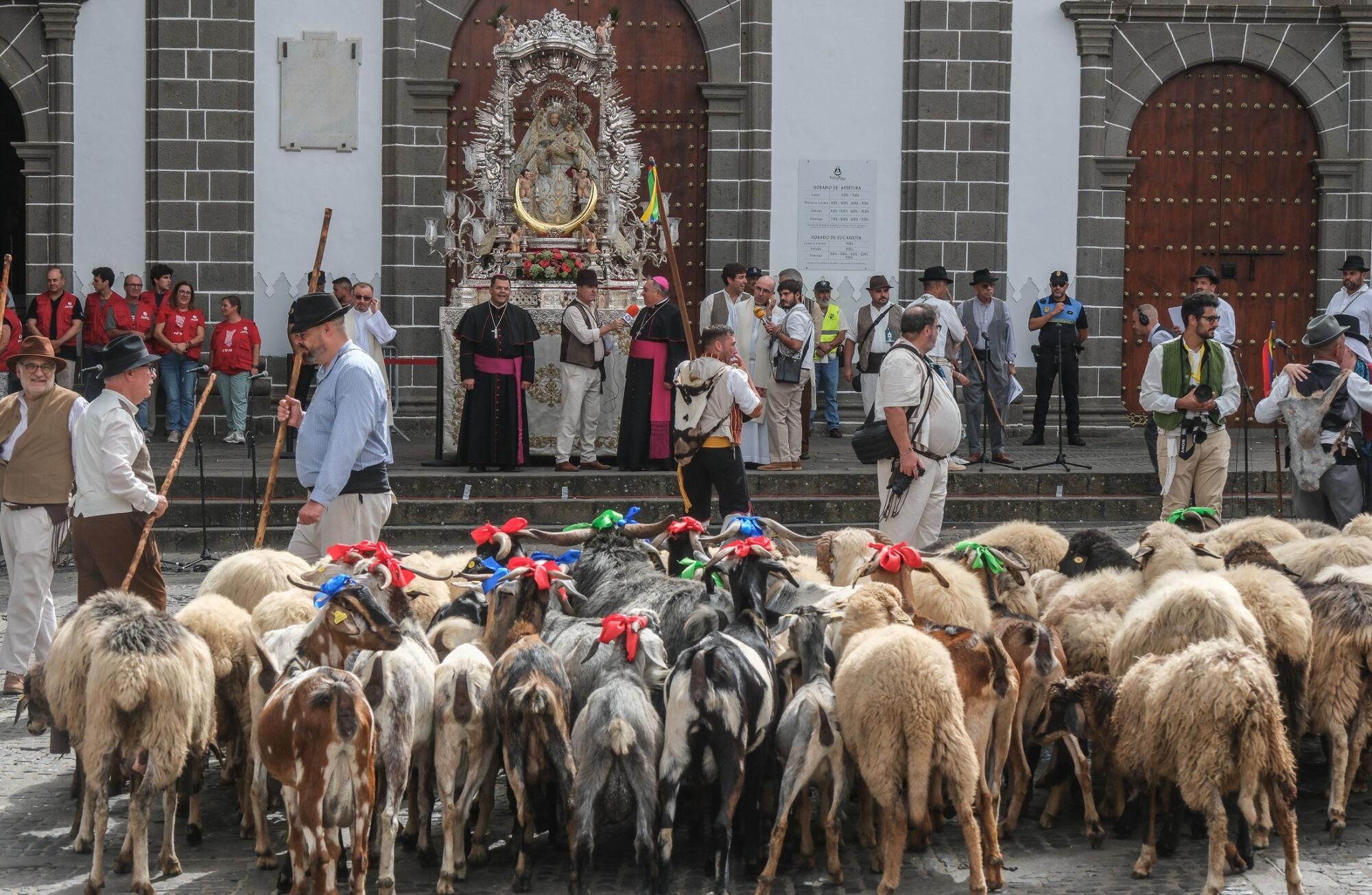 Ganado y ganaderos ante la Virgen del Pino.
