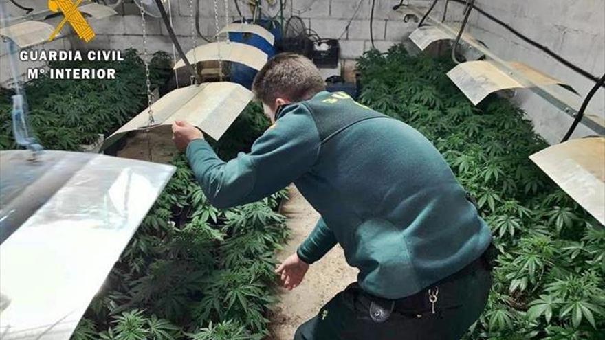 Desmanteladas dos plantaciones de marihuana con fraude eléctrico