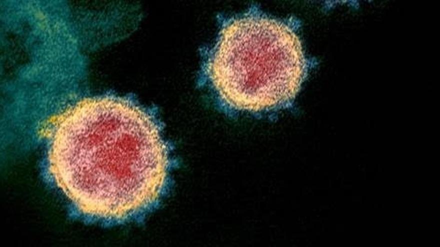 La OMS confirma la nueva variante Deltacrón del coronavirus