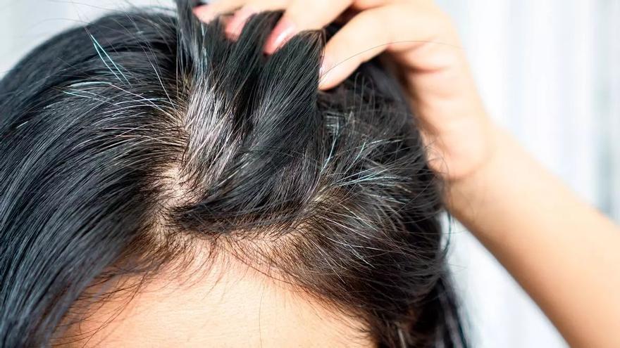 Adiós a las canas sin teñir: la cuchara con romero que rejuvenece el pelo y el devuelve brillo y color