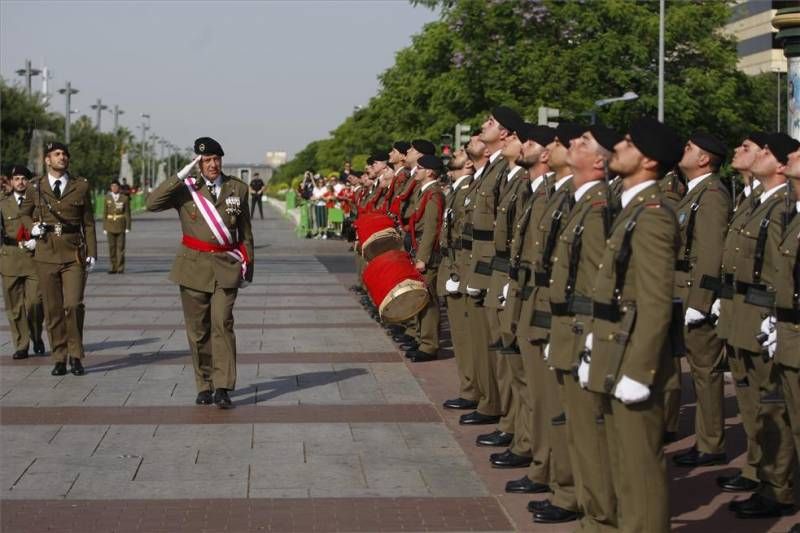 FOTOGALERÍA / Día de las Fuerzas Armadas en Córdoba