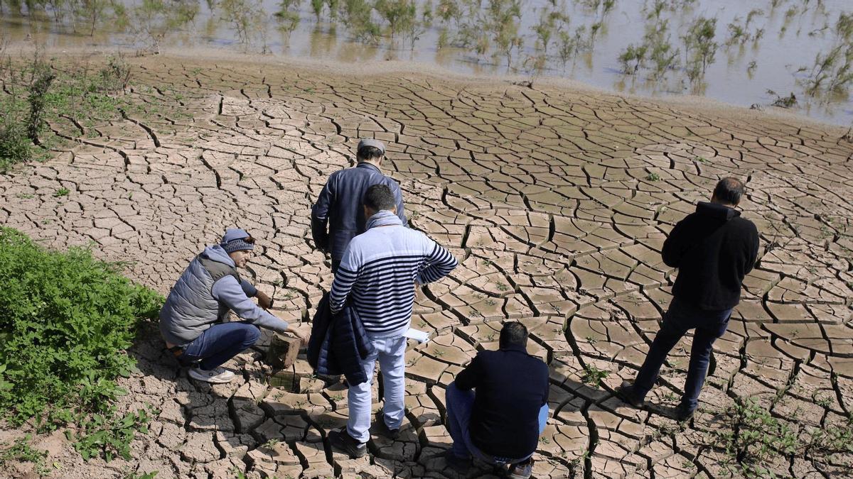 Pedro Rosa Mena (en la imagen, a la izquierda, agachado), fundador y director de Todobarro, junto a miembros de su equipo en una visita al estuario del Guadalquivir, donde están investigando cómo reciclar los lodos dragados por el Puerto y reutilizarlos como material de cerámica bioclimática.
