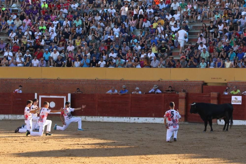 Concurso de cortes en Fuentesaúco.