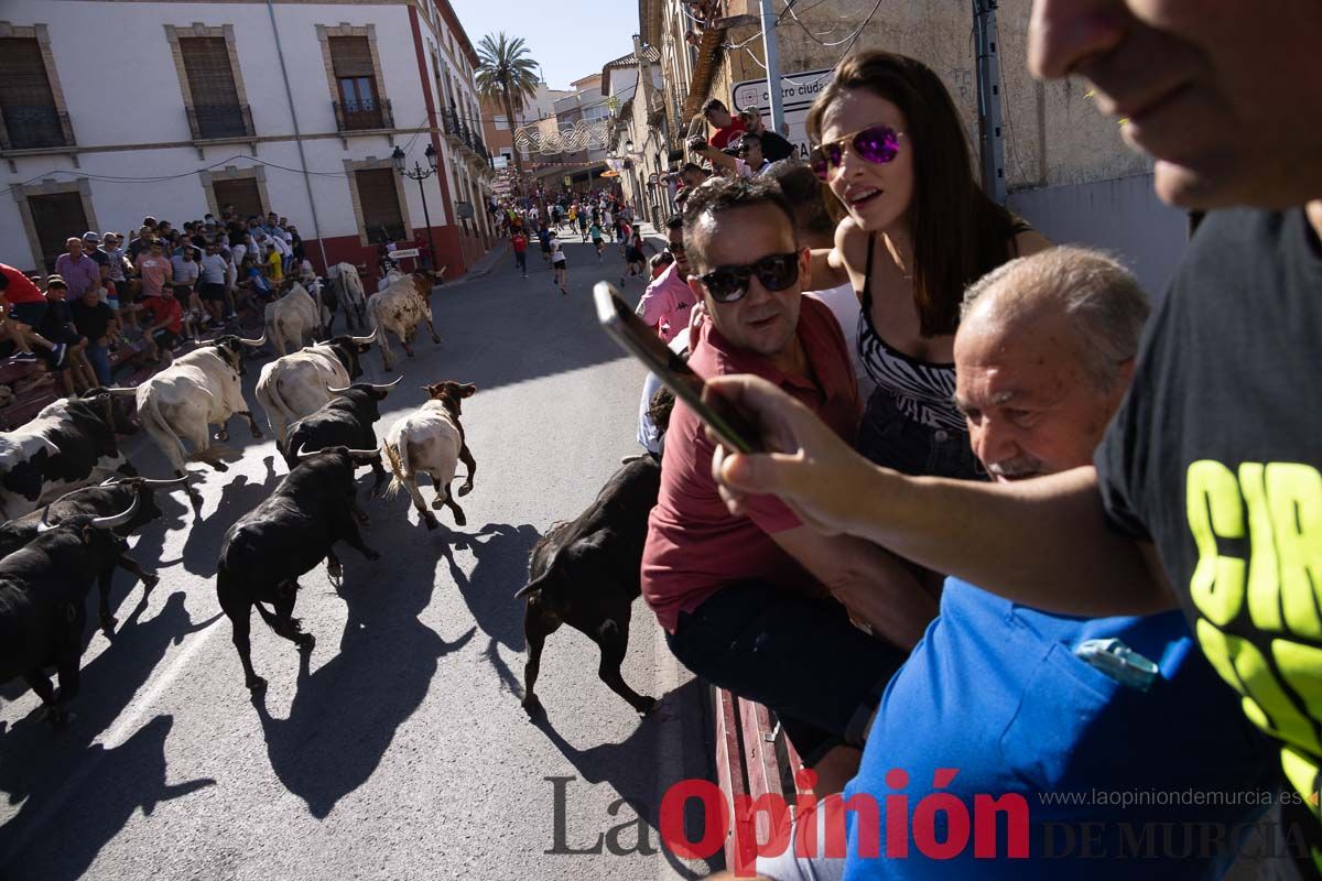 Último encierro en las Fiestas de Moratalla