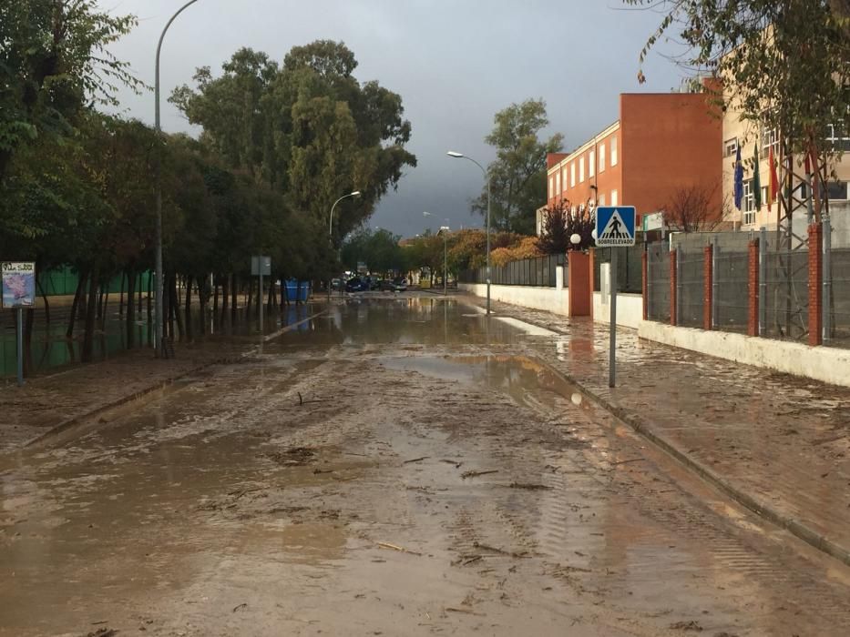 Efectos de la lluvia en Campillos