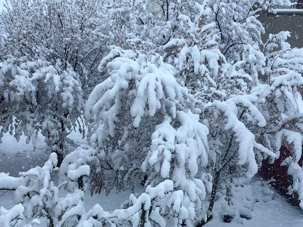 Imágenes de la espectacular nevada de hoy en Aragón