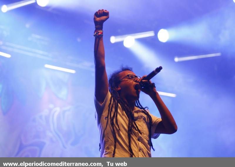 GALERÍA DE FOTOS- Cuarta Jornada del Rototom 2014