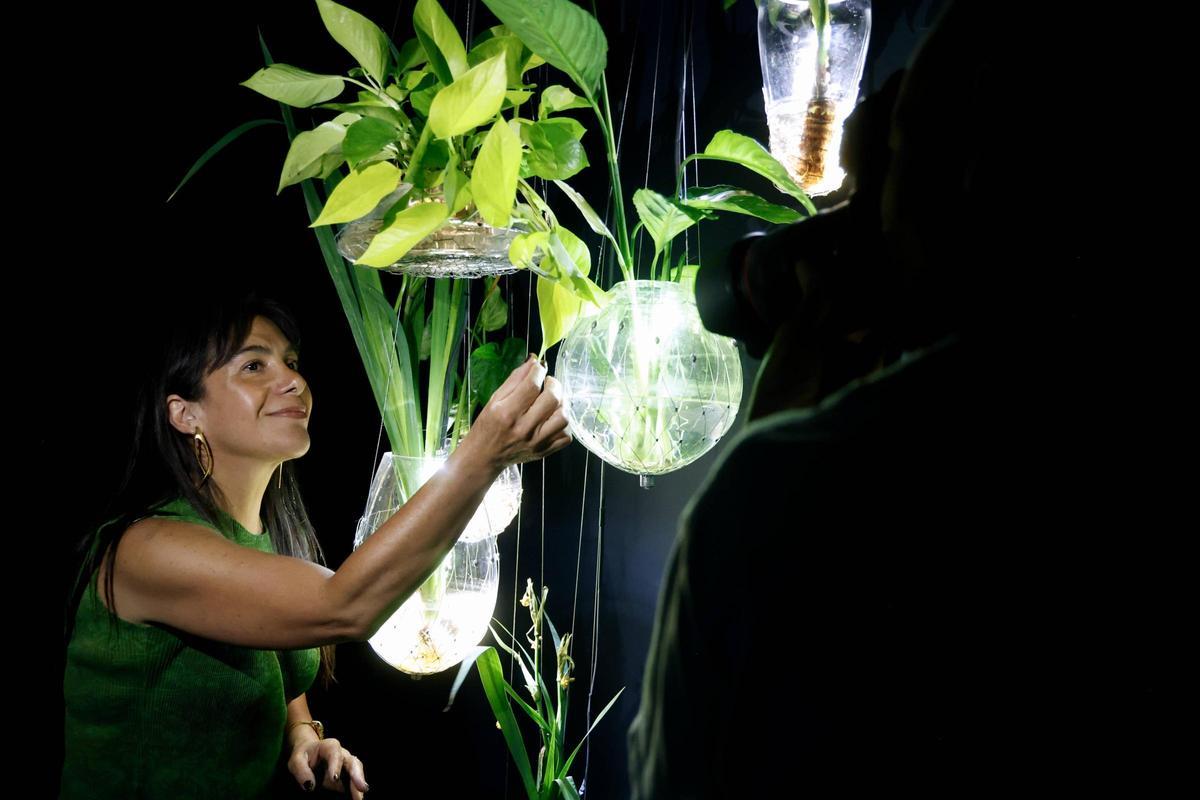 Tania Candiani inaugura en el IVAM la exposición inmersiva 'Radix'