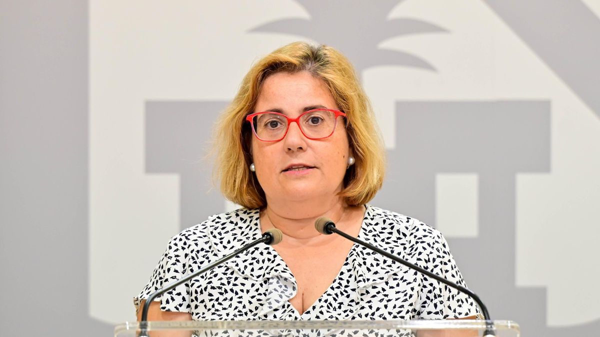 La portavoz municipal, Mercedes Celeste.