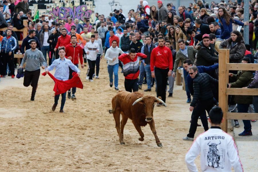 Encierros en Morales del Vino