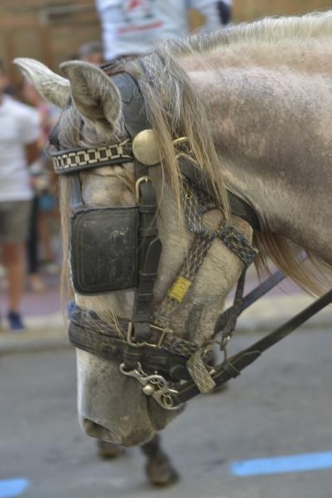 Día del caballo en la Feria de Murcia