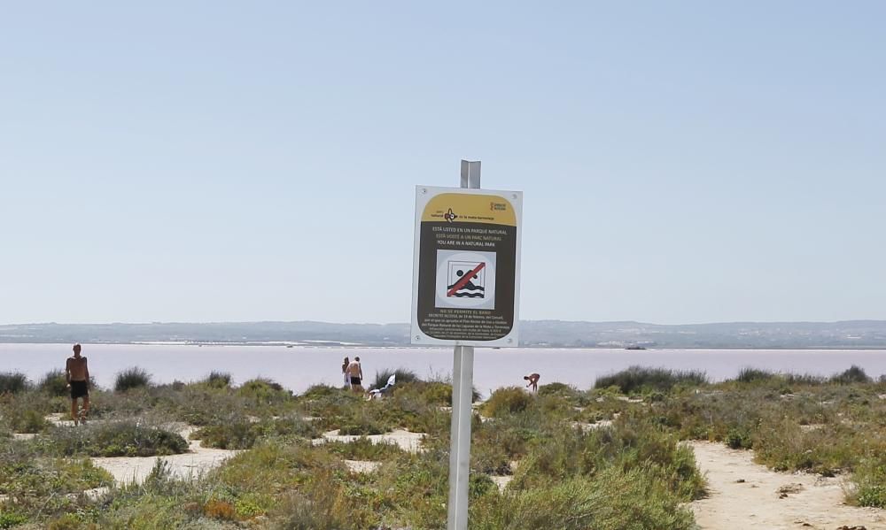 La salinera quiere evitar problemas de seguridad y vertido de residuos en las aguas de la laguna de Torrevieja y recuerda que el baño está prohibido, con nueva cartelería con el logo del Parque Natura